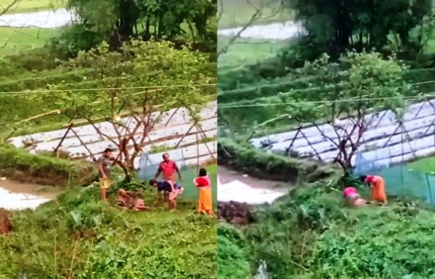 কমলগঞ্জে চুরির অপবাদে হাত-পা বেঁধে বৃদ্ধকে নির্মম নির্যাতন