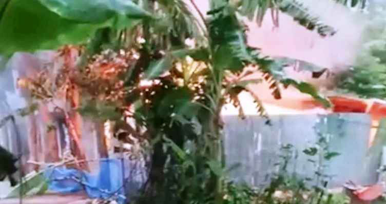 কিশোরীকে ধর্ষণ-হত্যার জেরে আসামিদের বাড়িতে আগুন, নিহত ৩
